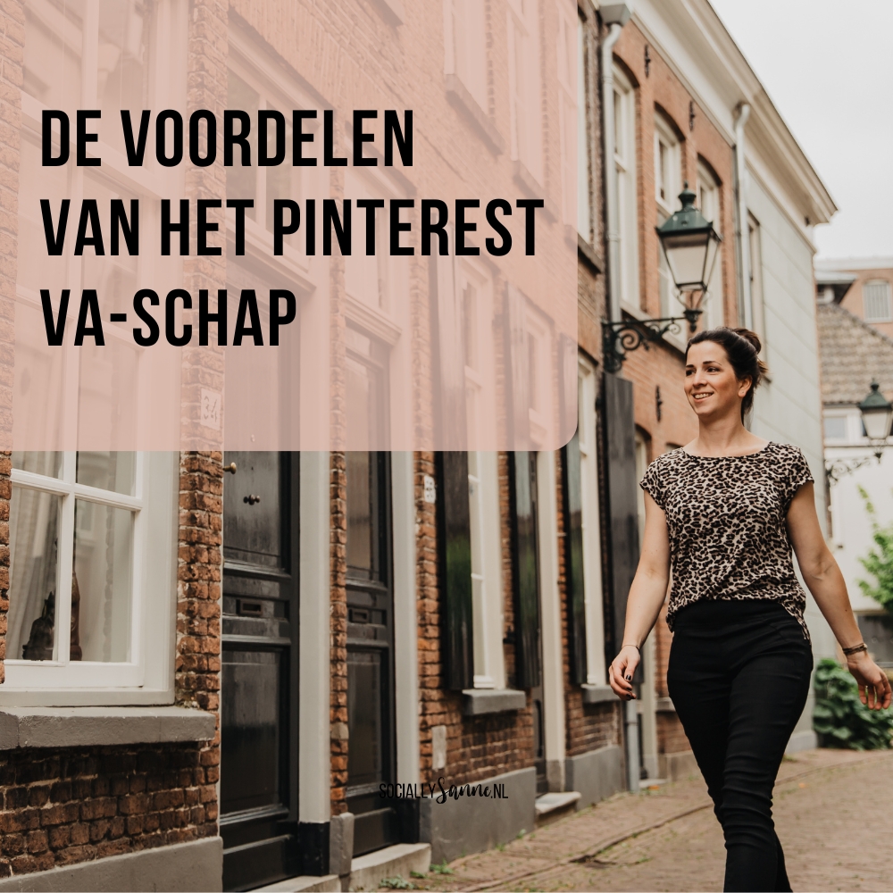 Wat doet een Pinterest VA